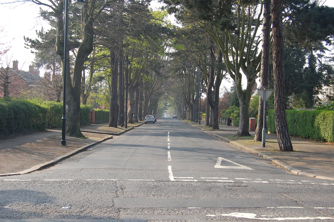 Picture 17